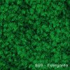 869 - Evergreen