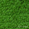 155 - Grass